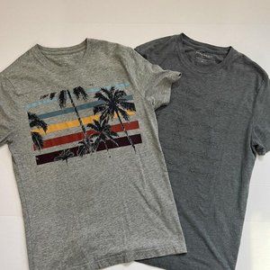 Lot Of 2 Banana Republic Men’s T Shirts L Medium With Logos